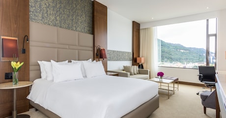 Room Habitación Superior con vista